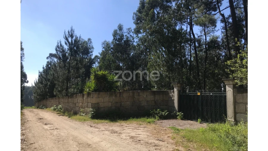 Terreno para Venda em Guilhabreu Foto 7