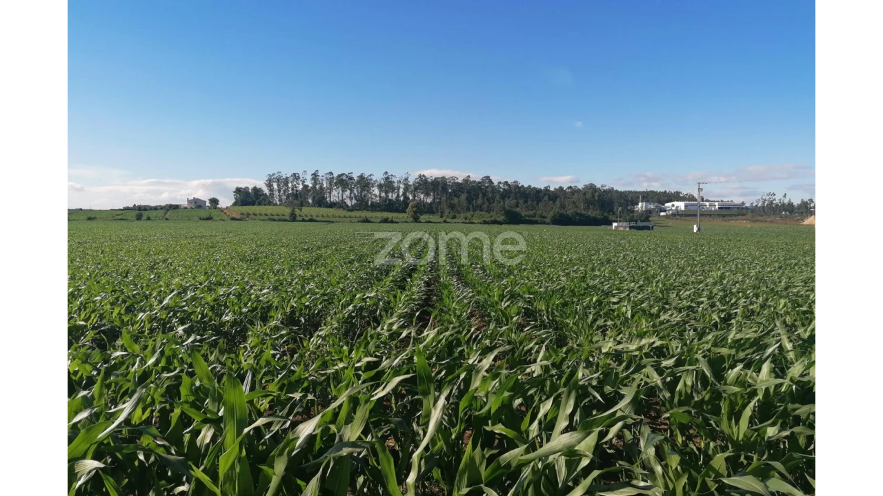 Terreno para Venda em Perafita, Lavra e Santa Cruz do Bispo Foto 15