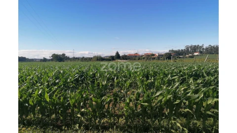 Terreno para Venda em Perafita, Lavra e Santa Cruz do Bispo