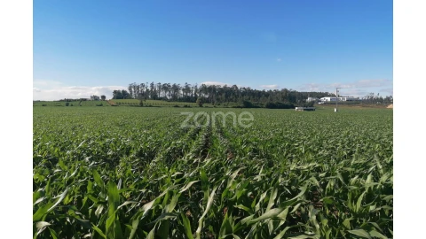 Terreno para Venda em Perafita, Lavra e Santa Cruz do Bispo