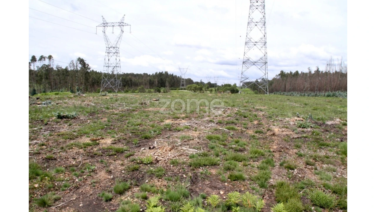 Terreno para Venda em Albergaria-A-Velha e Valmaior Foto 10