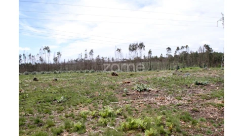 Terreno para Venda em Albergaria-A-Velha e Valmaior