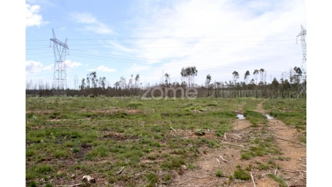 Terreno para Venda em Albergaria-A-Velha e Valmaior