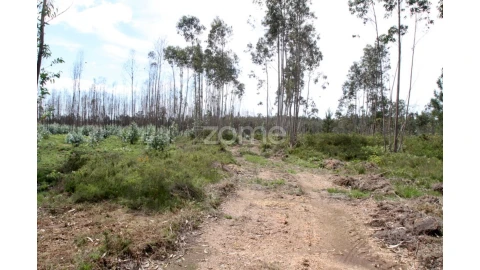 Terreno para Venda em Albergaria-A-Velha e Valmaior