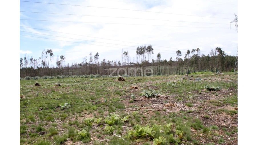 Terreno para Venda em Albergaria-A-Velha e Valmaior Foto 8
