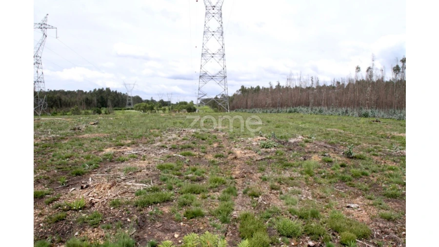 Terreno para Venda em Albergaria-A-Velha e Valmaior Foto 7