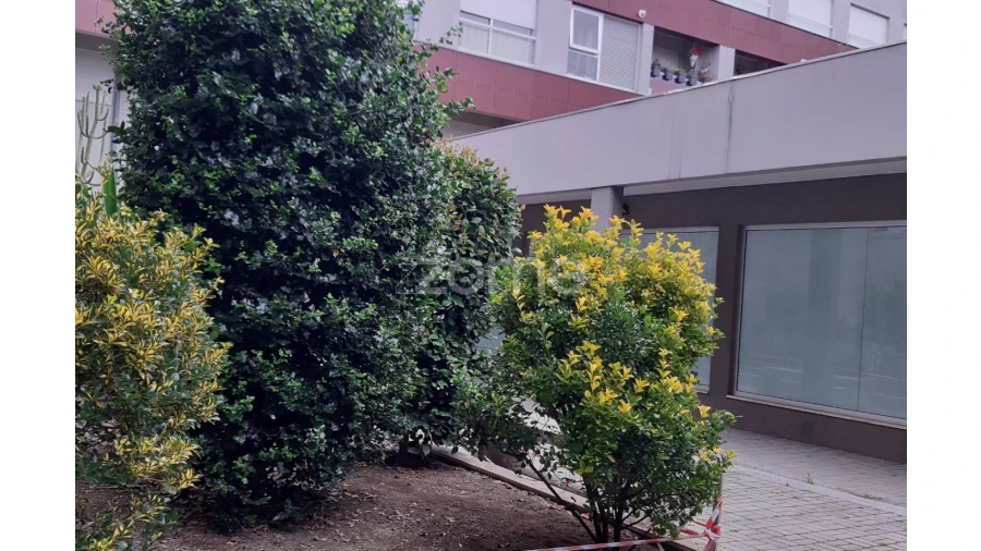 Negócio para Venda em Vila das Aves Foto 33