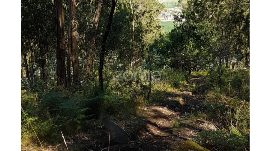 Terreno para Venda em Vale (São Cosme), Telhado e Portela Foto 1