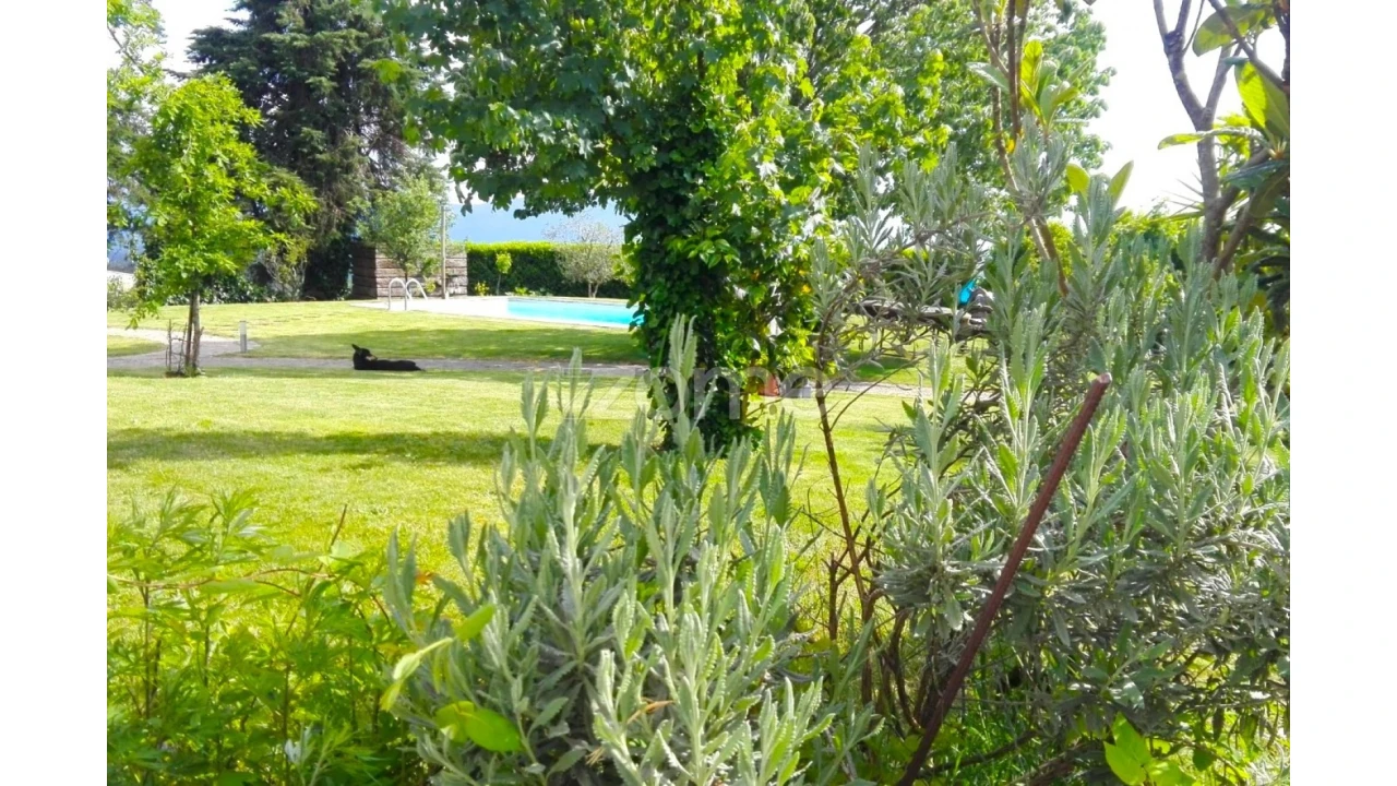 Quinta T3 para Venda em Campelo e Ovil Foto 15