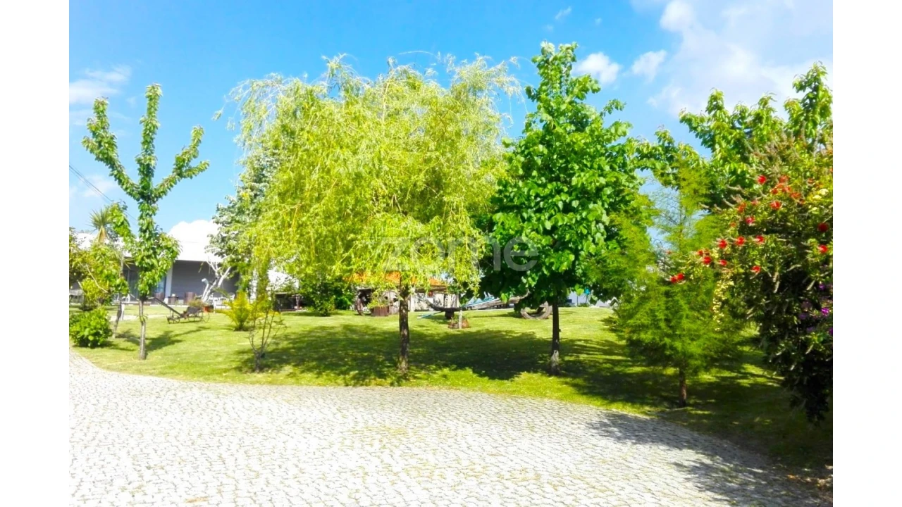 Quinta T3 para Venda em Campelo e Ovil Foto 10