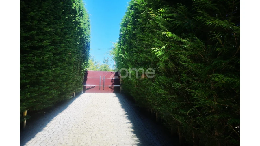 Quinta T3 para Venda em Campelo e Ovil Foto 4