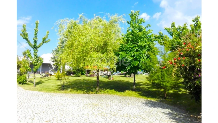 Quinta T3 para Venda em Campelo e Ovil Foto 10