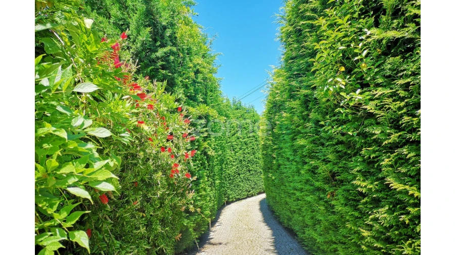 Quinta T3 para Venda em Campelo e Ovil Foto 7