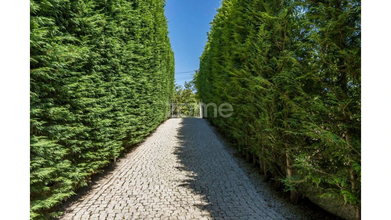 Quinta T3 para Venda em Campelo e Ovil Foto 6