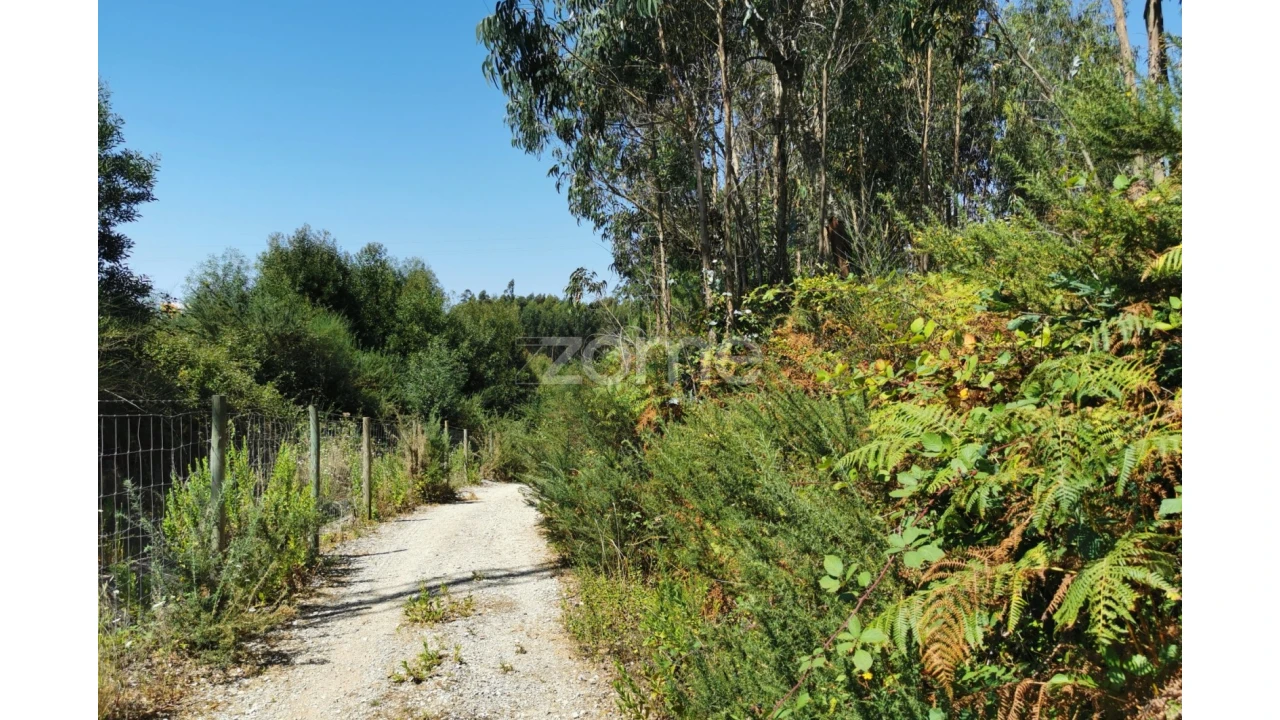 Terreno para Venda em Santa Maria da Feira, Travanca, Sanfins e Espargo Foto 31