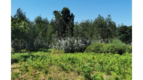 Terreno para Venda em Santa Maria da Feira, Travanca, Sanfins e Espargo