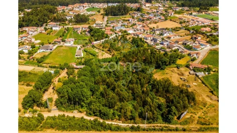 Terreno para Venda em Santa Maria da Feira, Travanca, Sanfins e Espargo