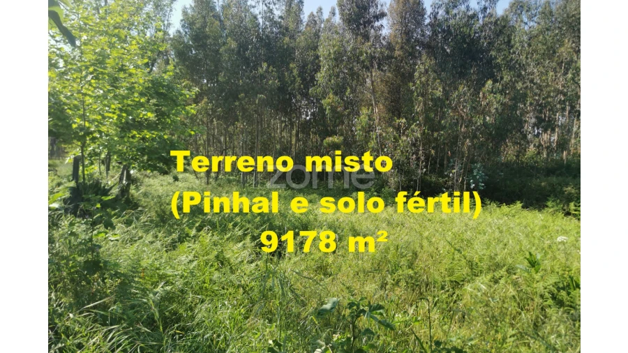 Terreno para Venda em Santa Maria da Feira, Travanca, Sanfins e Espargo Foto 28