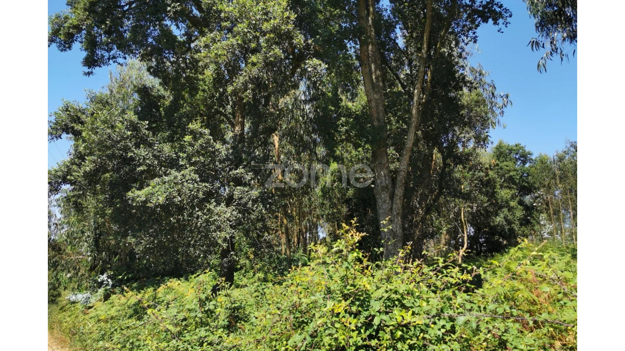 Terreno para Arrendamento em Santa Maria da Feira, Travanca, Sanfins e Espargo Foto 40