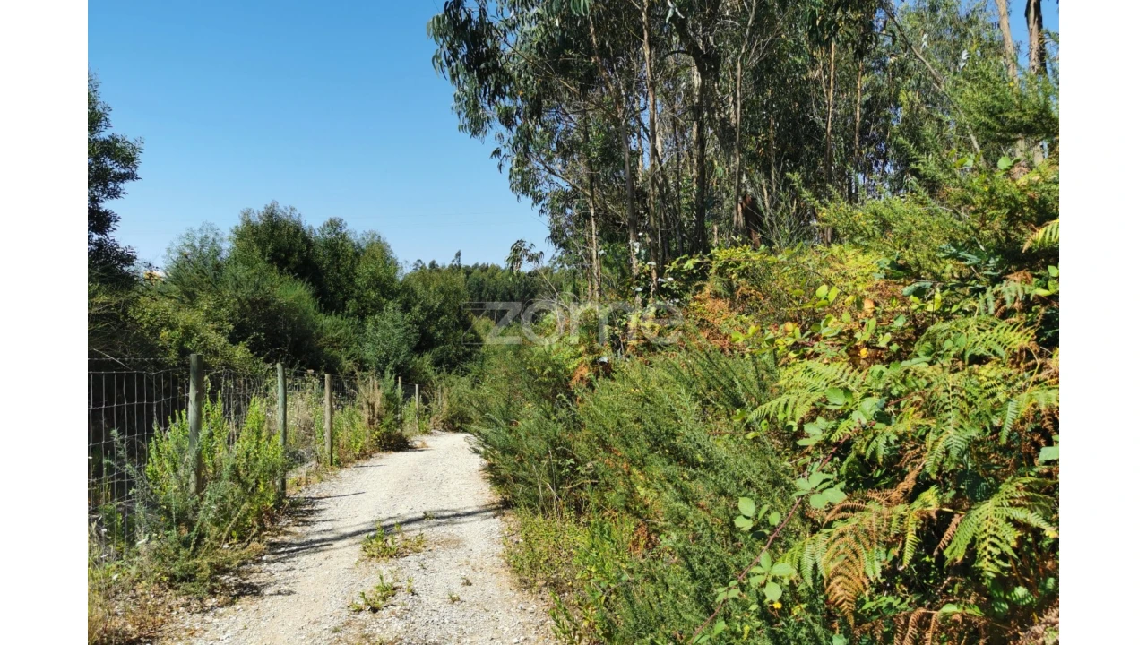 Terreno para Arrendamento em Santa Maria da Feira, Travanca, Sanfins e Espargo Foto 37