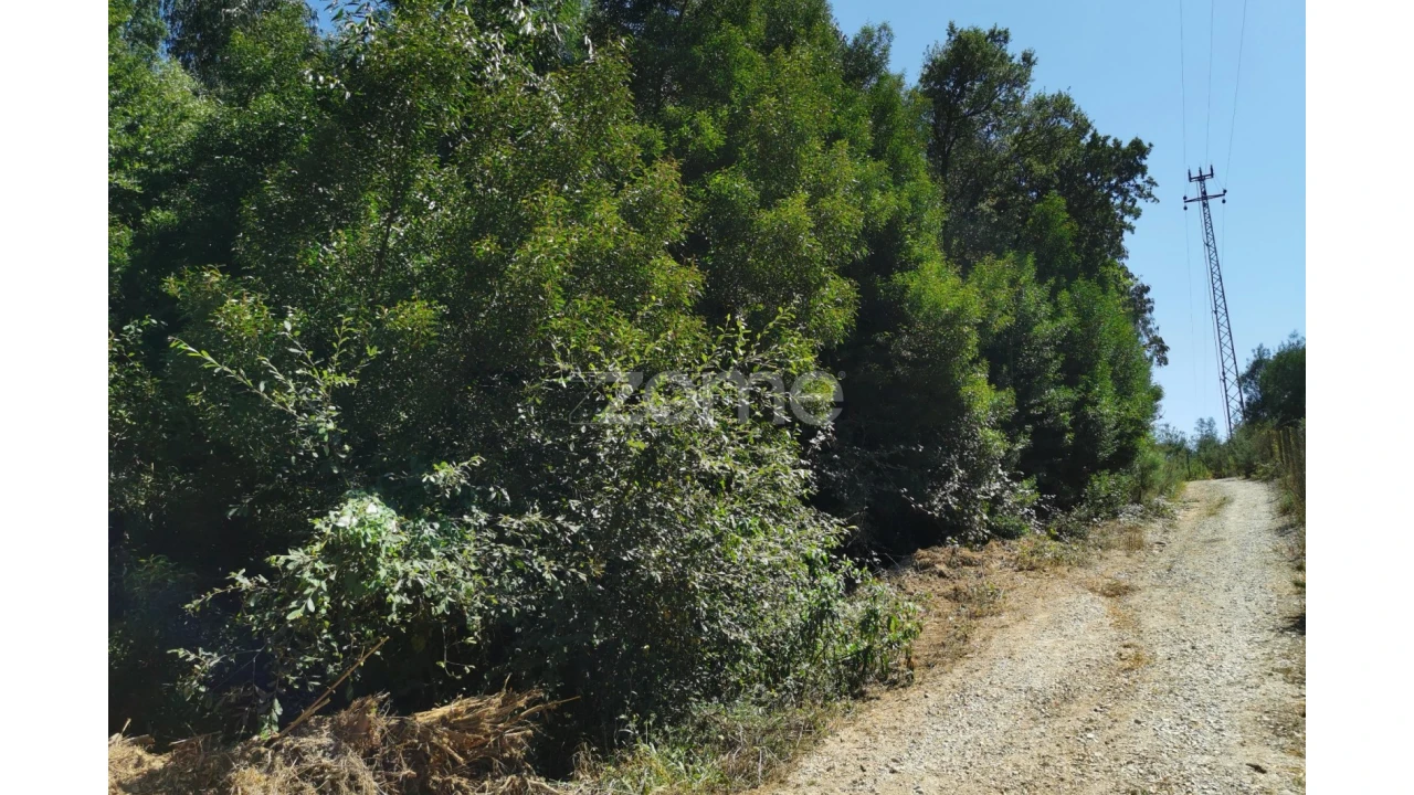 Terreno para Arrendamento em Santa Maria da Feira, Travanca, Sanfins e Espargo Foto 32