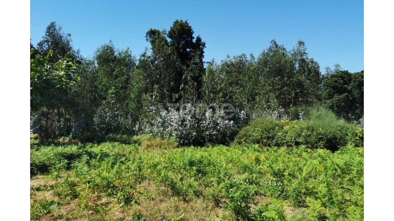 Terreno para Arrendamento em Santa Maria da Feira, Travanca, Sanfins e Espargo Foto 30