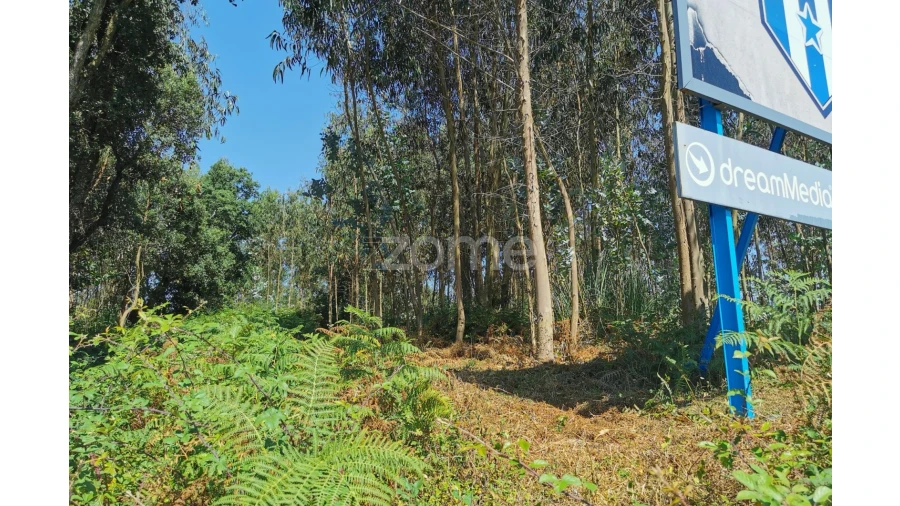 Terreno para Arrendamento em Santa Maria da Feira, Travanca, Sanfins e Espargo Foto 38