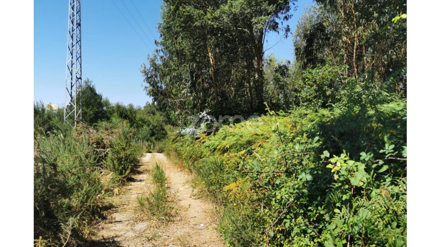Terreno para Arrendamento em Santa Maria da Feira, Travanca, Sanfins e Espargo Foto 35