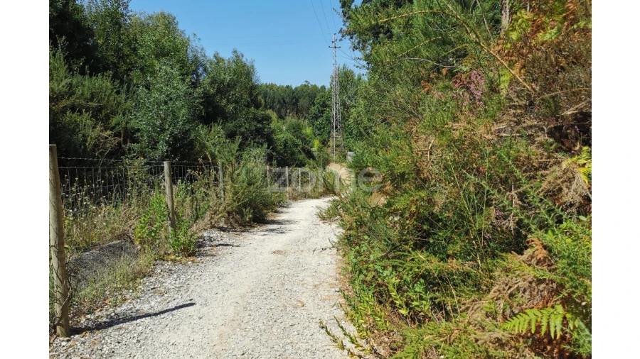 Terreno para Arrendamento em Santa Maria da Feira, Travanca, Sanfins e Espargo Foto 36