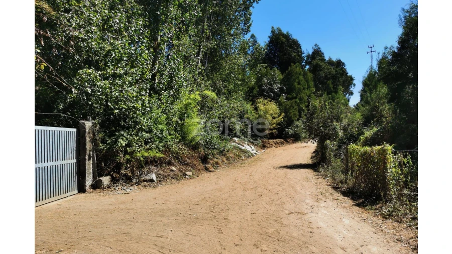 Terreno para Arrendamento em Santa Maria da Feira, Travanca, Sanfins e Espargo Foto 31