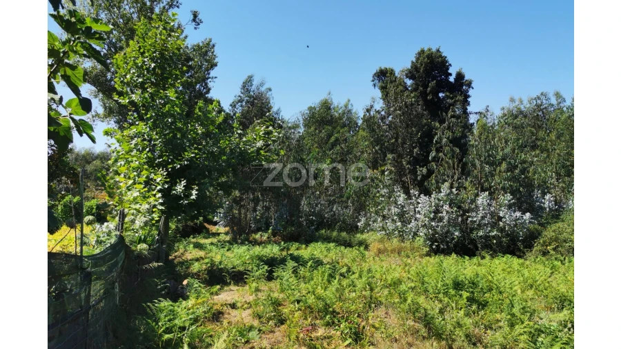 Terreno para Arrendamento em Santa Maria da Feira, Travanca, Sanfins e Espargo Foto 29