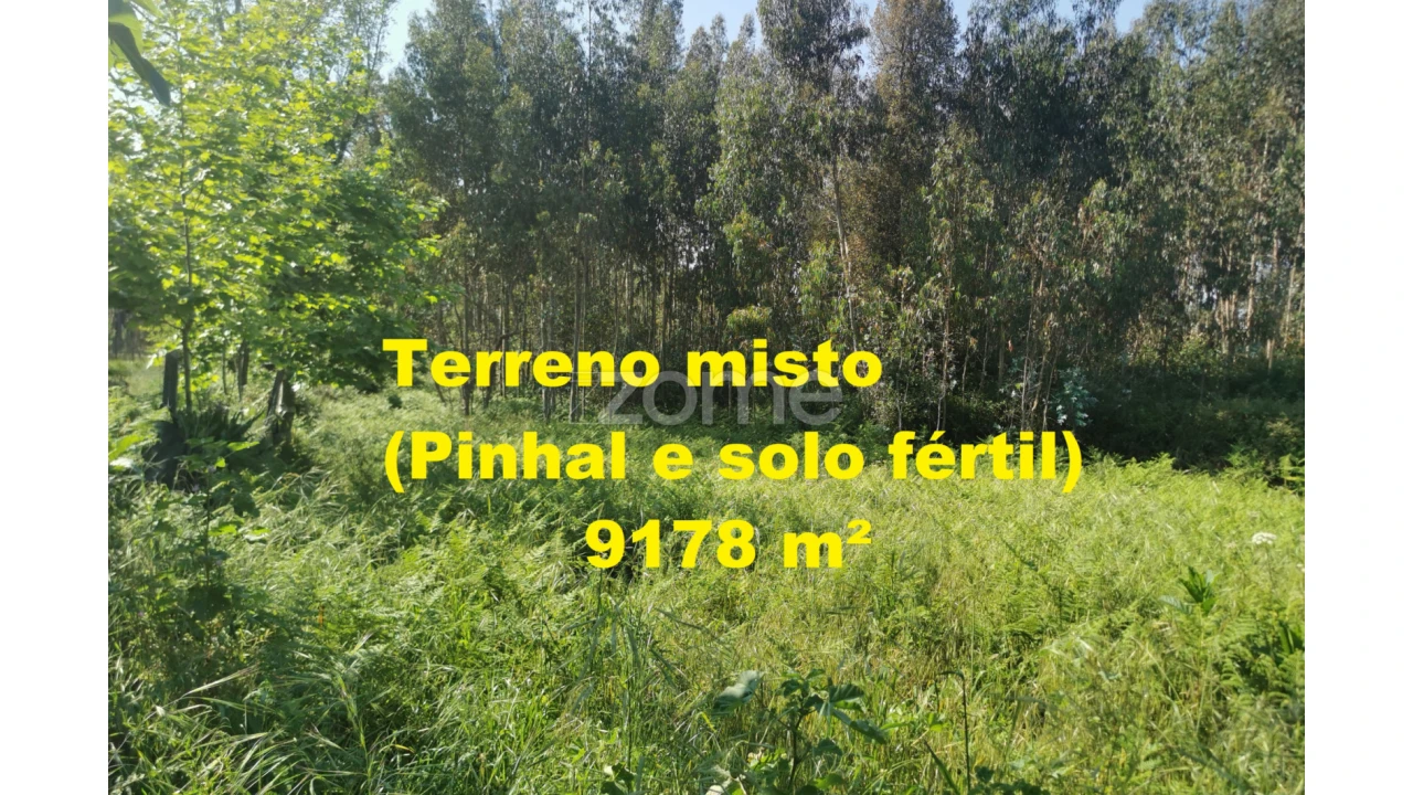 Terreno para Arrendamento em Santa Maria da Feira, Travanca, Sanfins e Espargo Foto 28