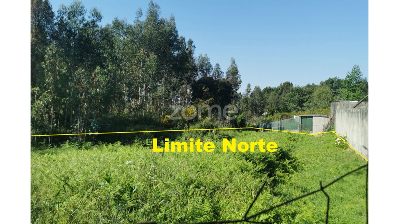 Terreno para Arrendamento em Santa Maria da Feira, Travanca, Sanfins e Espargo Foto 27