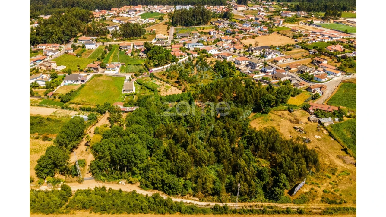 Terreno para Arrendamento em Santa Maria da Feira, Travanca, Sanfins e Espargo Foto 12
