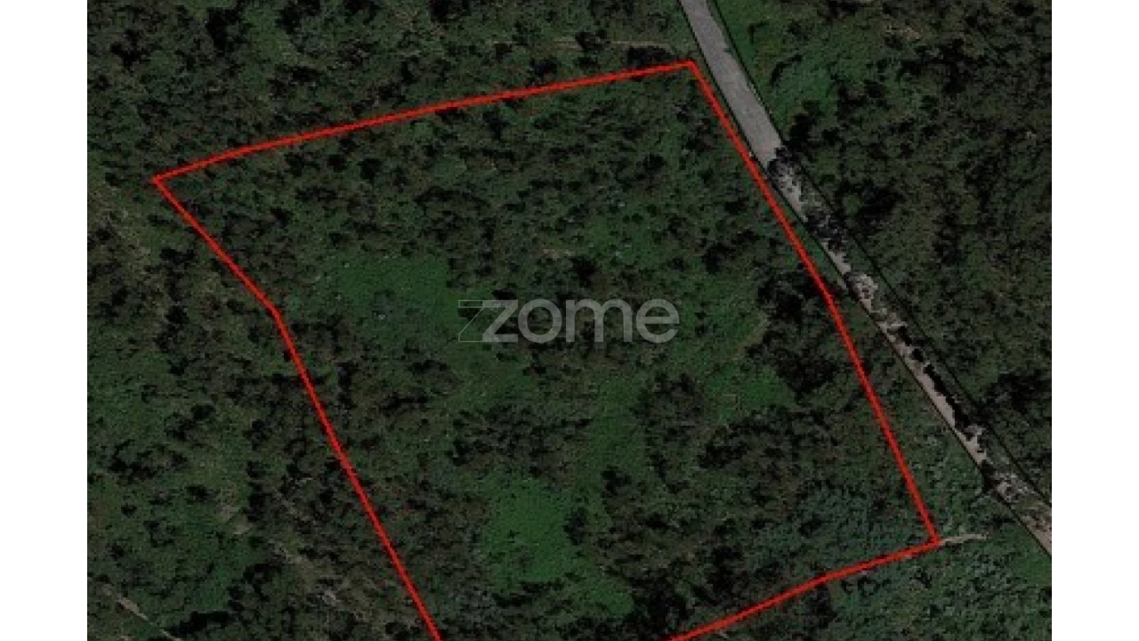 Terreno para Venda em Monte Córdova Foto 1