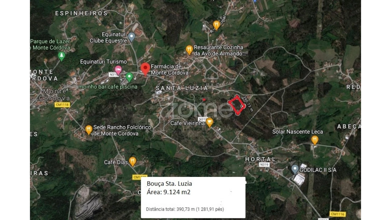 Terreno para Venda em Monte Córdova Foto 8