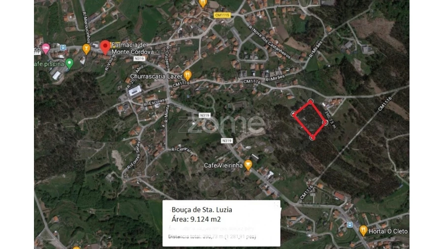 Terreno para Venda em Monte Córdova Foto 9