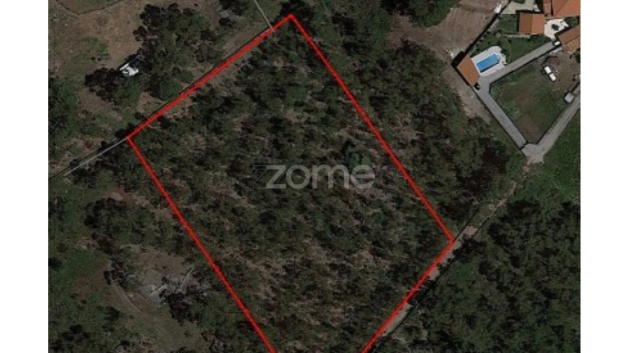 Terreno para Venda em Monte Córdova Foto 5