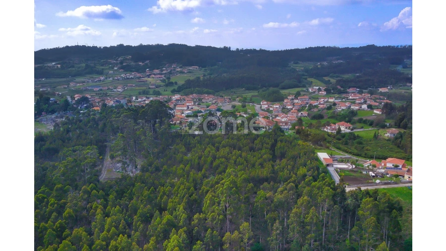 Terreno para Venda em Monte Córdova Foto 3