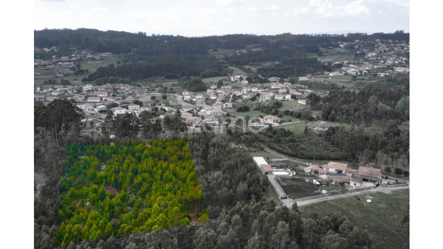 Terreno para Venda em Monte Córdova Foto 7