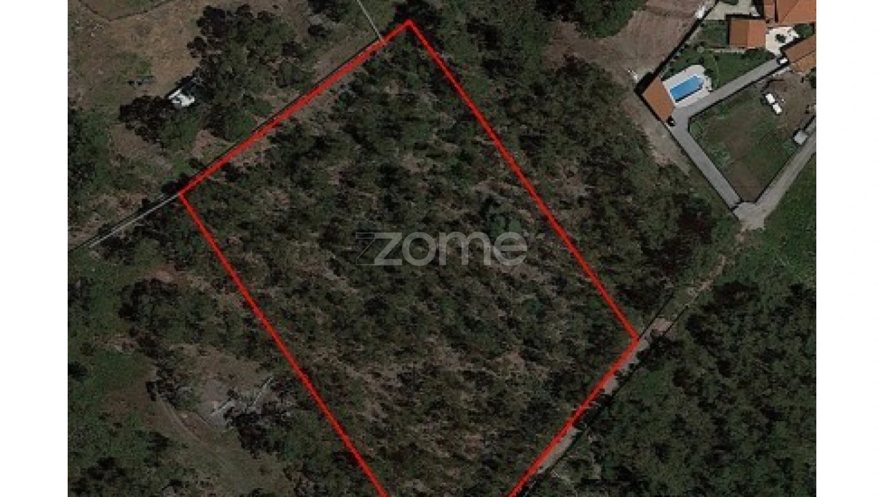 Terreno para Venda em Monte Córdova Foto 5