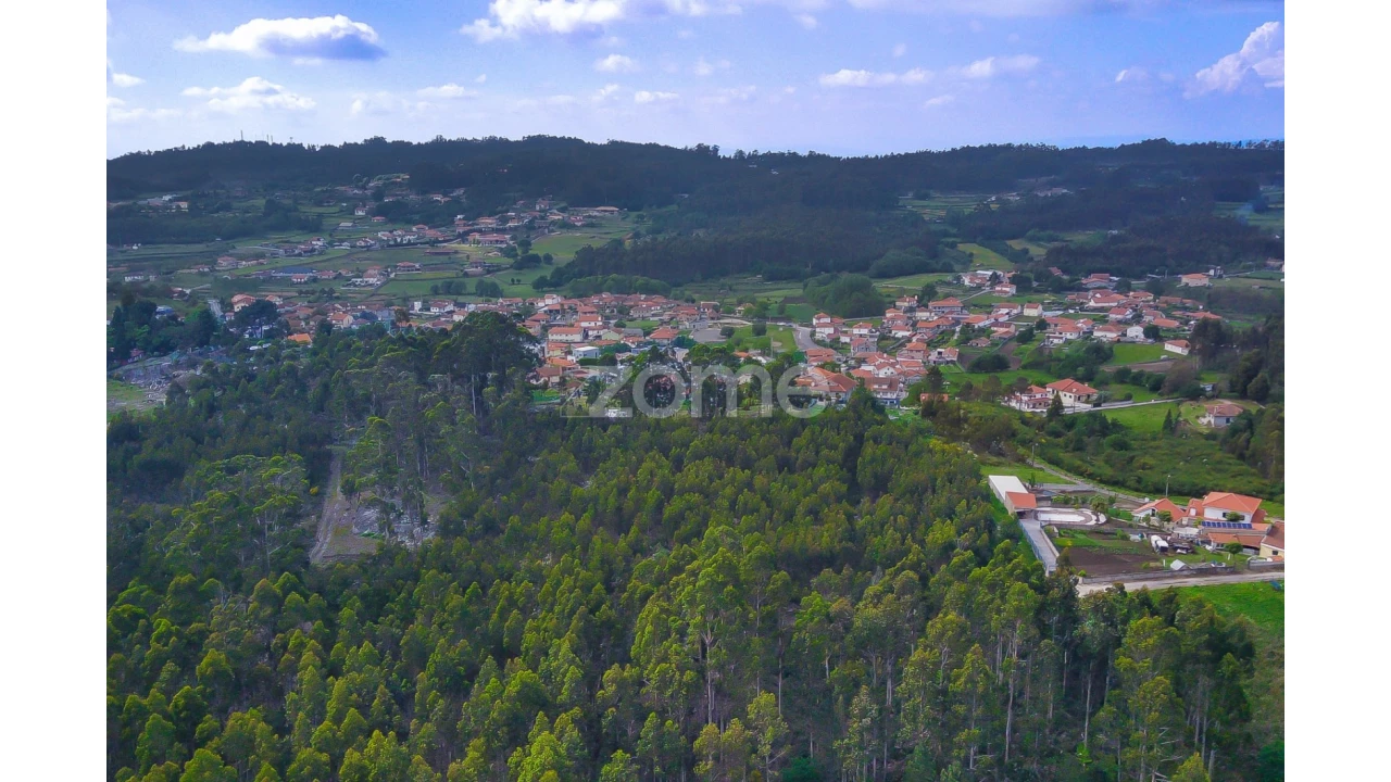 Terreno para Venda em Monte Córdova Foto 3