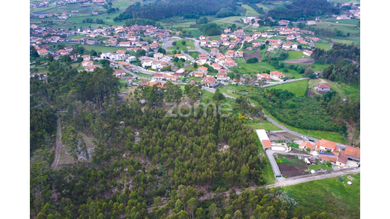 Terreno para Venda em Monte Córdova Foto 6