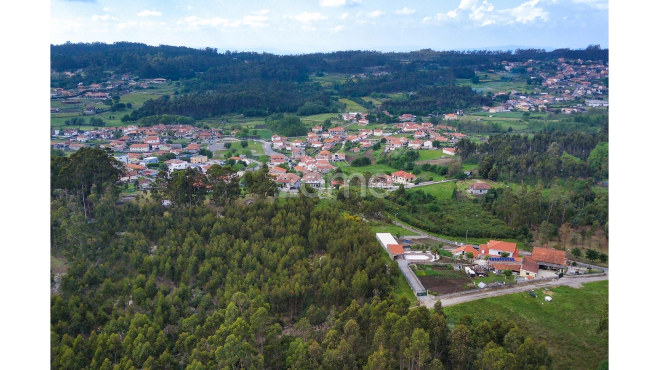 Terreno para Venda em Monte Córdova Foto 2