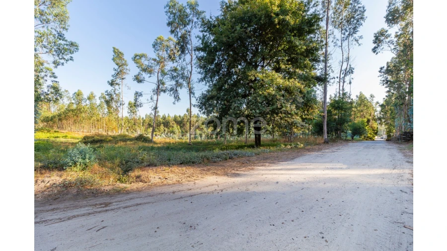 Terreno para Venda em Monte Córdova Foto 6
