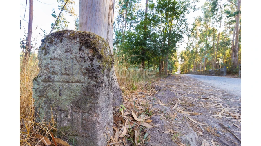 Terreno para Venda em Monte Córdova Foto 1