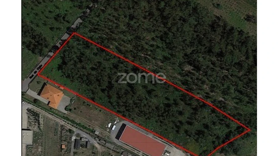 Terreno para Venda em Monte Córdova Foto 8