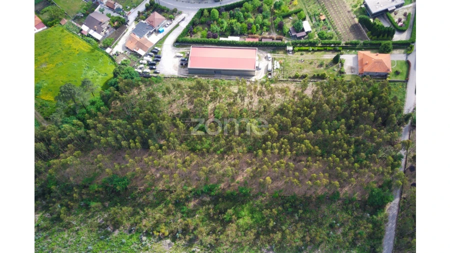 Terreno para Venda em Monte Córdova Foto 9