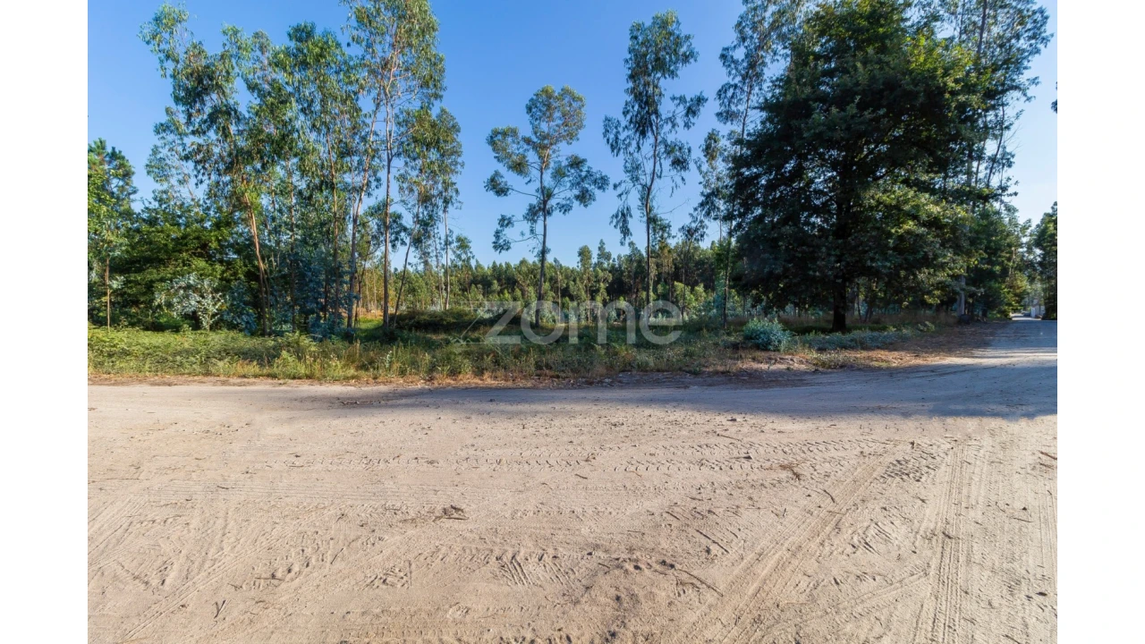 Terreno para Venda em Monte Córdova Foto 5