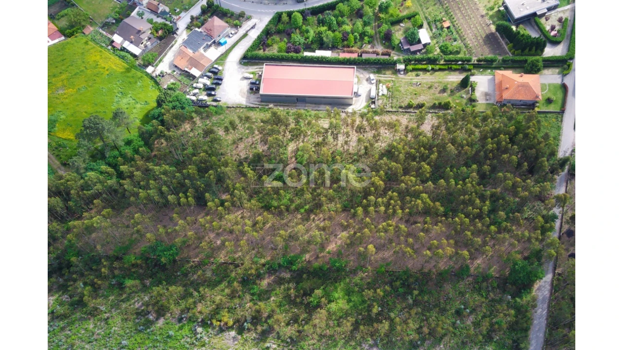 Terreno para Venda em Monte Córdova Foto 9